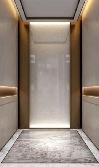 Small Commercial Elevator